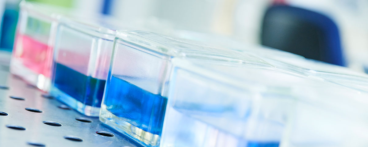 Histologische Untersuchungen