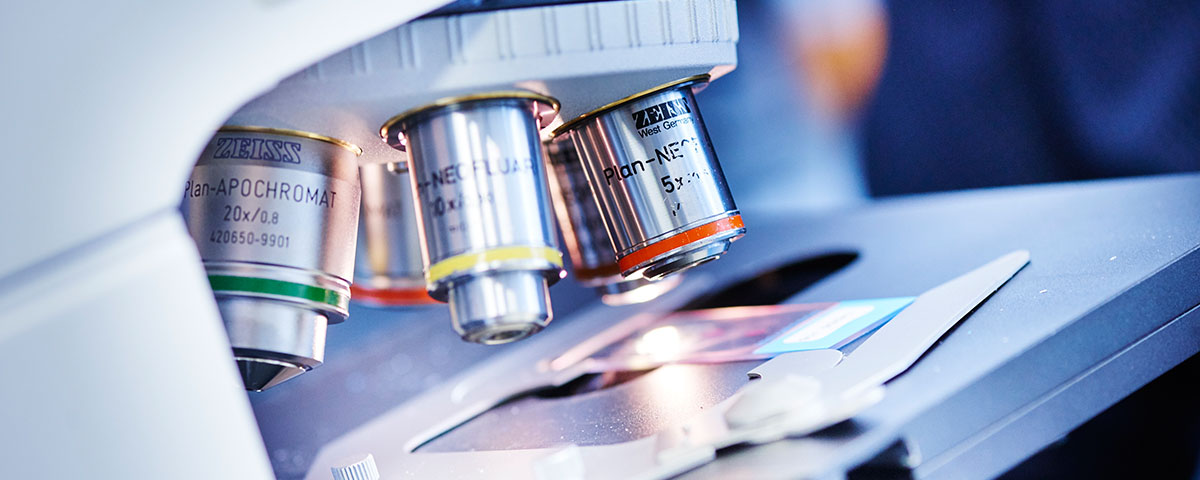 Immunfluoreszenz-Untersuchungen