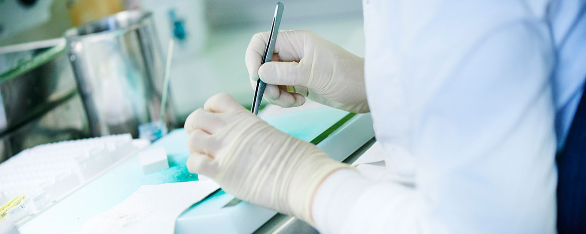 Molekularbiologische Untersuchungen